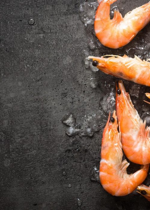 Fresh Prawns Shrimps in ice.
